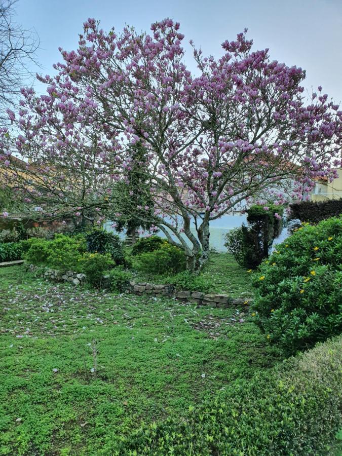 Comfy Bed & Breakfast Sintra